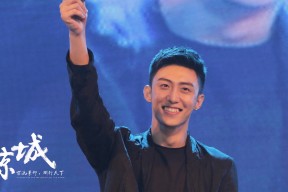 华体会体育-命运的交错，2026世界杯E组，阿根廷vs智利，费利克斯的孤勇时刻