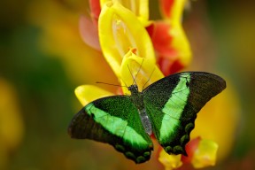 华体会登录-世界排名争夺战之夜，坎特如灯塔穿透迷雾，以战鼓般的心跳扛起全队