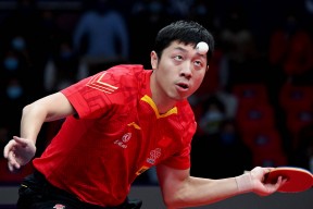 华体会体育-韩国乒乓球队绝地反击波兰乒乓球队，许昕高光表现的简单介绍