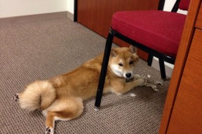 华体会hth-个体闪耀与团队压制，维尼修斯的个人秀与冰岛的集体风暴